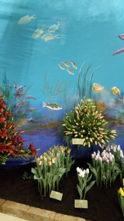 2018 - mooie combinatie met de bloemen